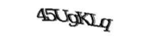 Security check image, please type the characters shown